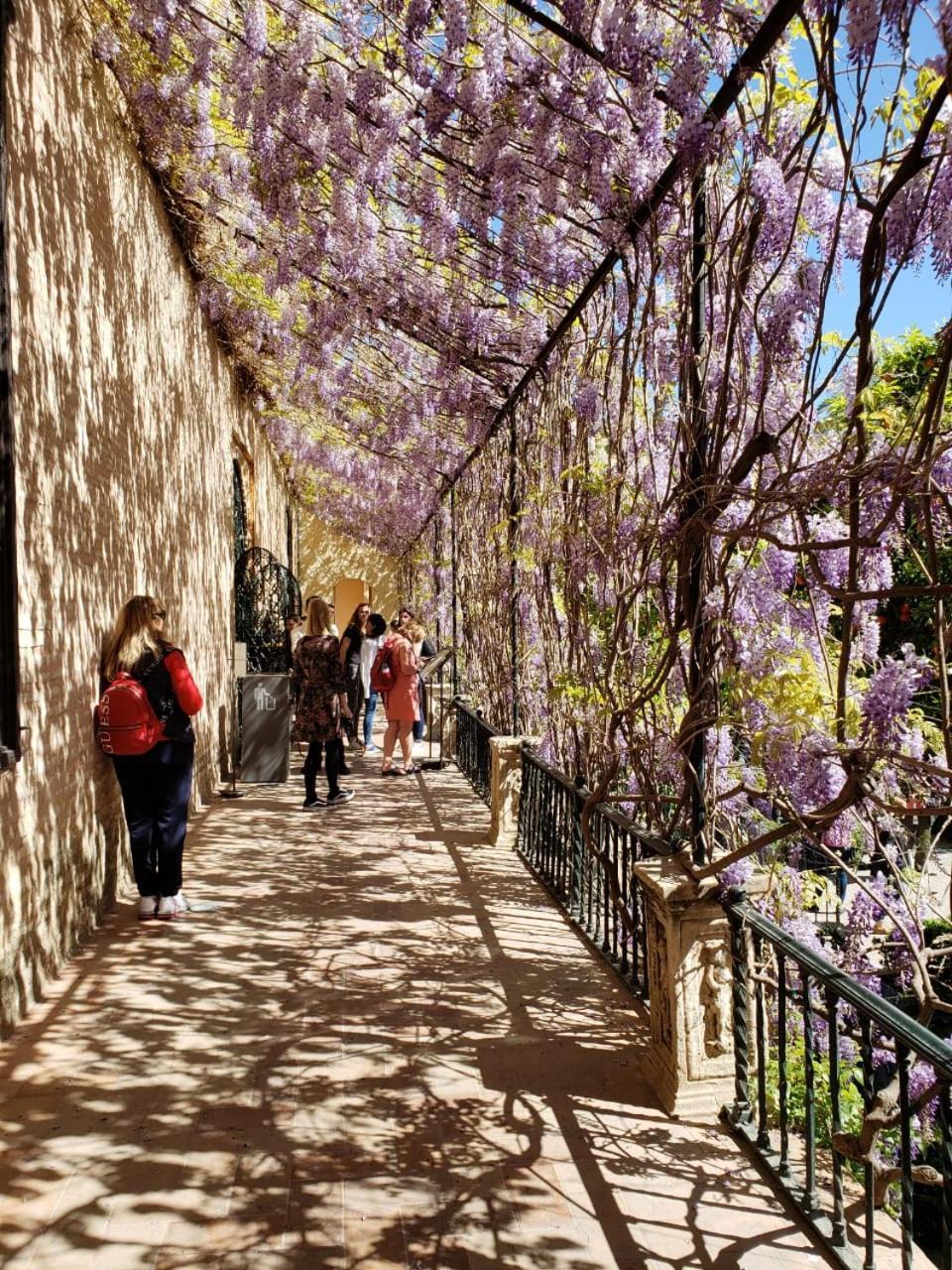 Apartamento Jardin De Santa Paula Sevilla Dış mekan fotoğraf